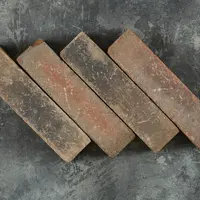Abbey Dark Multi Clay Brick Pavers