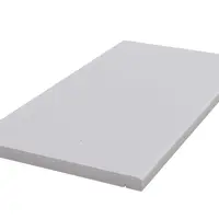 Mint Smooth Sandstone Coping Stones