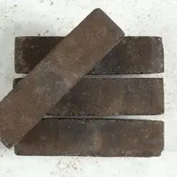 Ancona Clay Brick Pavers