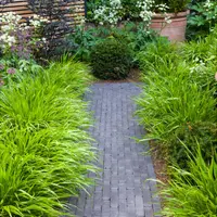 Charcoal Grey Clay Brick Pavers