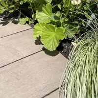 Chestnut Brushed Composite Decking