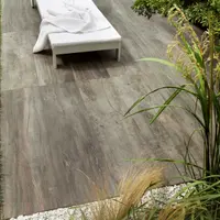 Cinder Porcelain Paving