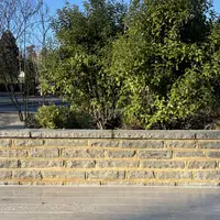 Kandla Grey Sandstone Garden Walling