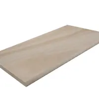 Light Buff Smooth Sandstone Bullnose Garden Steps