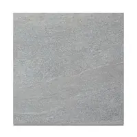 Overland Silver Plank Porcelain Paving