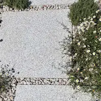 Silver Grey Flamed Granite Paving
