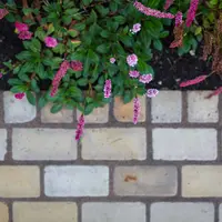 Tumbled Mint Sandstone Setts