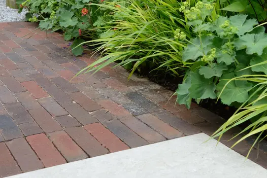Abbey Dark Multi Clay Brick Pavers in a rich blend of red, brown, and charcoal tones, laid in a traditional pattern beside lush green planting for a warm, characterful garden pathway.