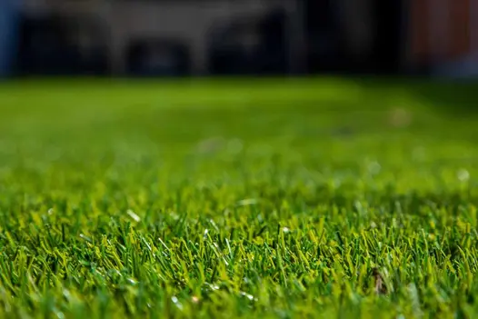 A high-detail view of artificial grass under bright sunlight, emphasizing the vibrant colour and texture.