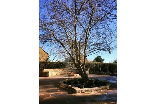 Curved garden design featuring Autumn Brown Sandstone paving, with a central tree and raised border planting.