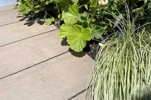 Close-up of Chestnut Brushed Composite Decking installed beside lush garden planting, showing the warm brown timber-effect boards against leafy green foliage.