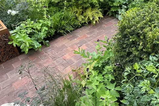 Dorset Antique Clay Brick Pavers forming a warm-toned garden pathway, bordered by dense green planting, ferns, and flowering perennials in a lush landscaped setting.