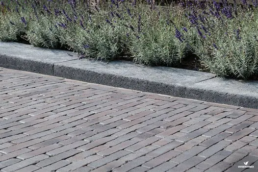 Lugano Clay Brick Pavers in a muted grey-brown blend laid in a traditional format, bordered by dark stone edging and a planting bed filled with lavender.