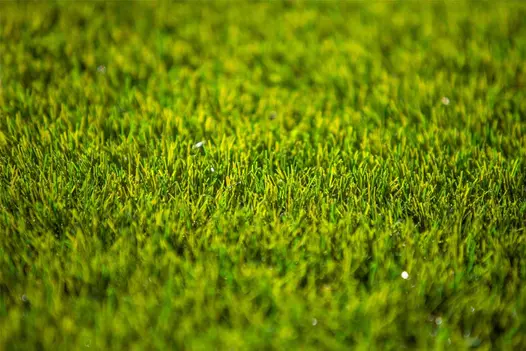A detailed view of synthetic grass fibers, mimicking the texture of natural grass.