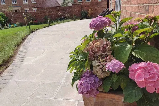 Tumbled Raj Sandstone Paving creating a curved garden pathway alongside a lawn, with soft weathered textures and a planter of colourful hydrangeas in the foreground.