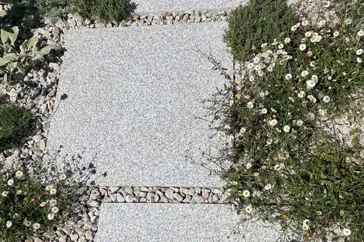 Silver Grey Granite paving slabs arranged with gravel joints, surrounded by low-growing plants and daisies in a bright, contemporary garden setting.