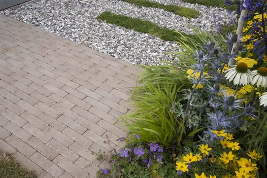 Stone Grey Clay Brick Pavers laid in a soft, muted grey tone beside a gravel garden area and vibrant planting with yellow, white, purple, and blue flowers.