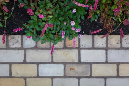 Tumbled Mint Sandstone Setts used as an edging border beside a planting bed, with pink flowering plants spilling gently over the pale, weathered stone setts.